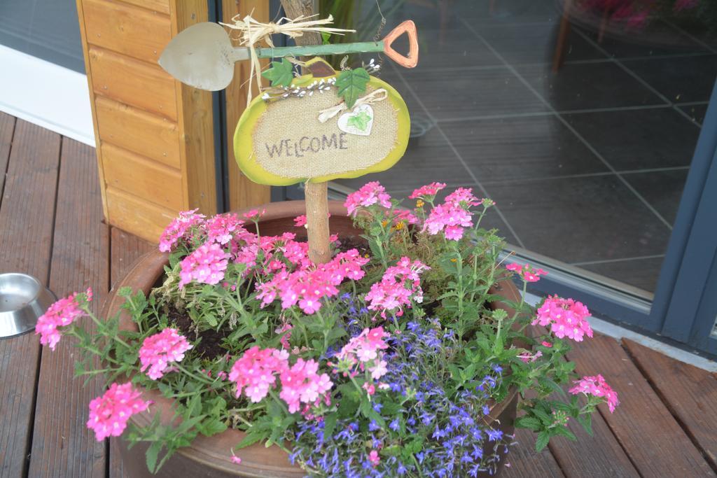 Antoingt Les Condamines Bed & Breakfast エクステリア 写真